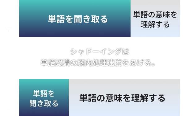 シャドテン利用前後での脳のリソース割合を説明したグラフ