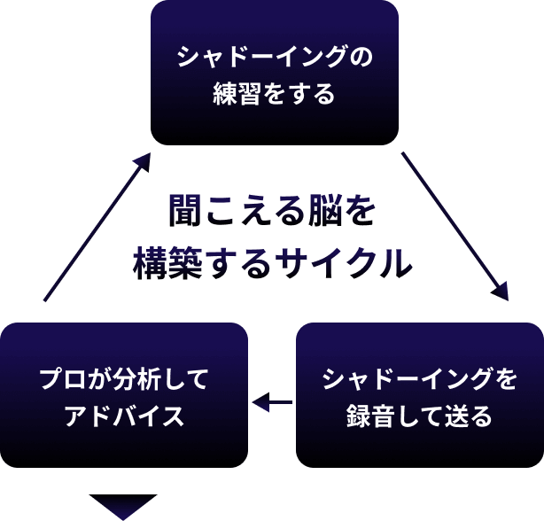 聞こえる脳を構築するサイクル
