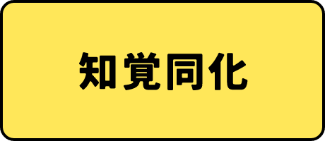知覚同化