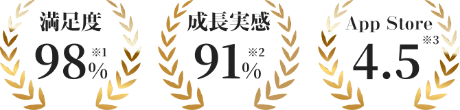 実績