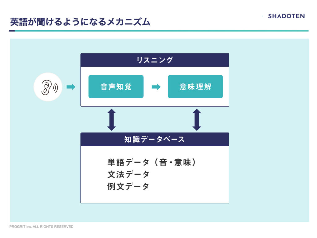 リスニングのメカニズムについて